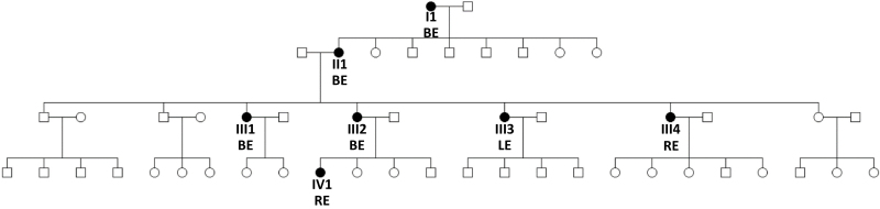 An external file that holds a picture, illustration, etc., usually as some form of binary object. The name of referred object is rmmj-15-1-e0005-g001.gif